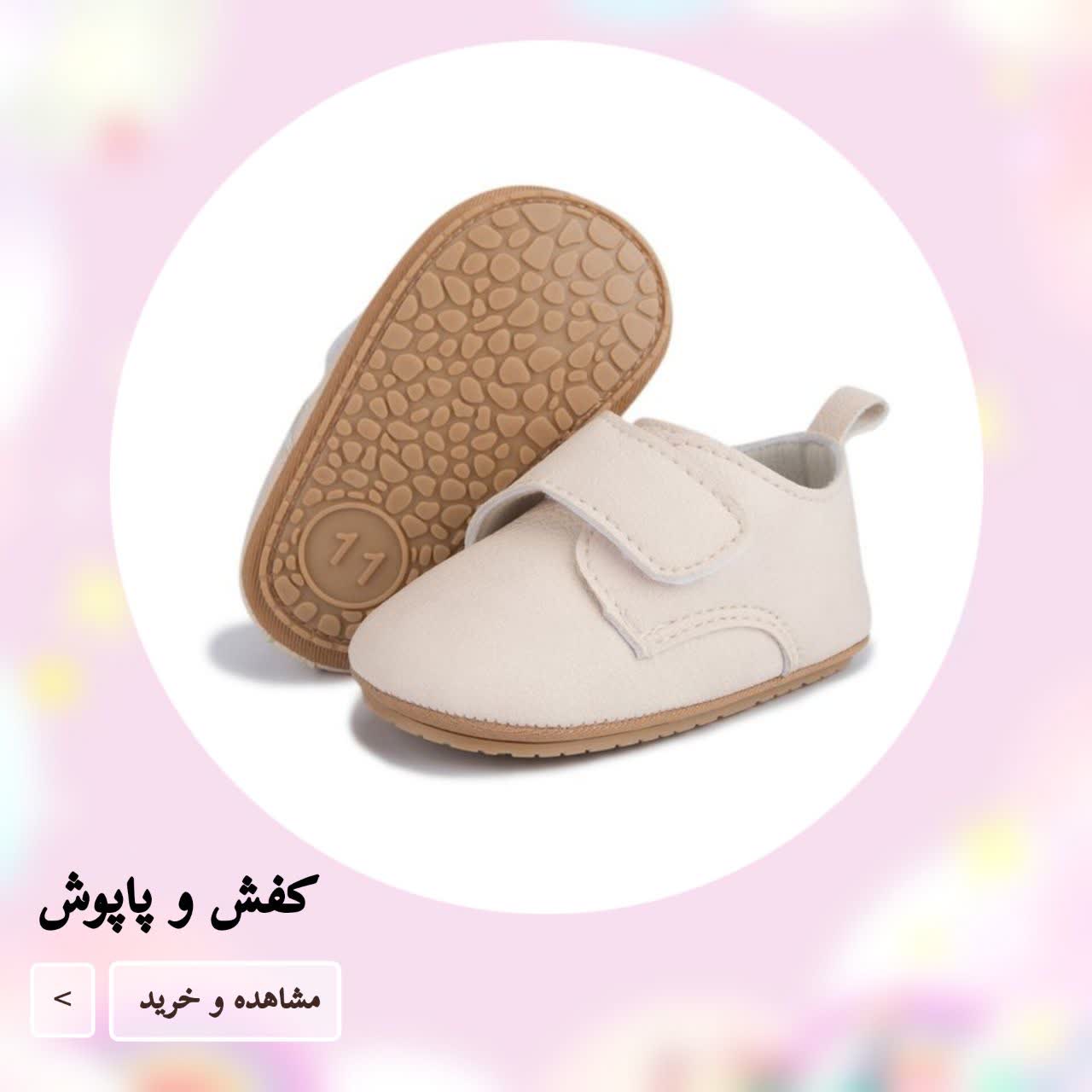 کفش و پاپوش 